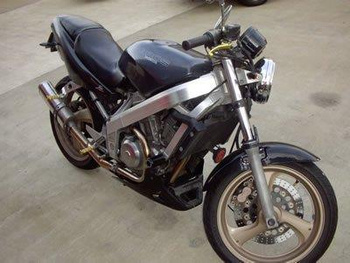 Crashpady Classic RG RACING HONDA BROS BLACK